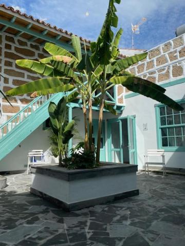 Hacienda De Las Indias, Cali Granadilla De Abona Exterior foto
